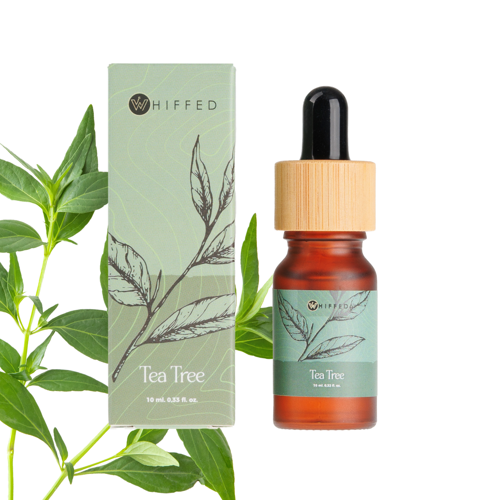 Tea Tree Etherische Olie (10ml) - Puur & Natuurlijk | Whiffed